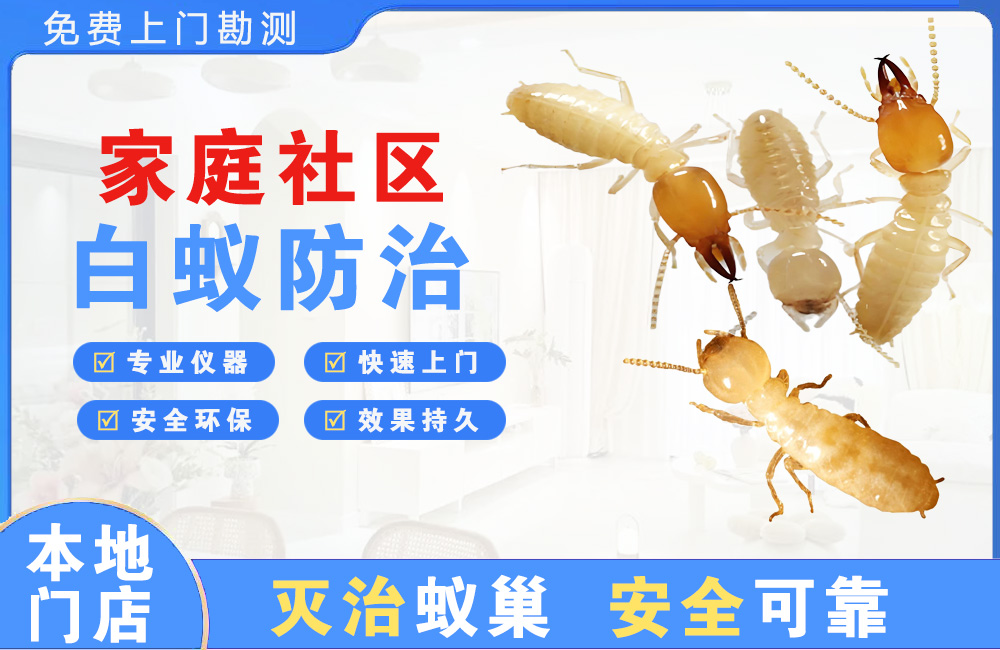 丰城家庭社区白蚁防治