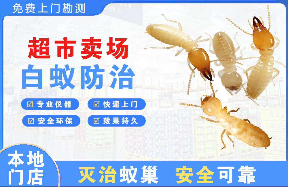 丰城超市卖场白蚁防治