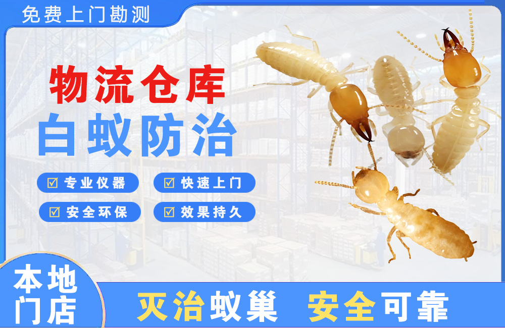 丰城物流仓库白蚁防治