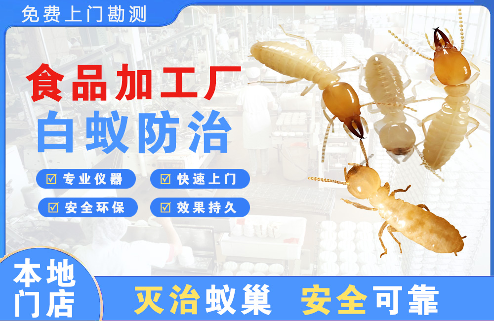 丰城食品加工厂白蚁防治