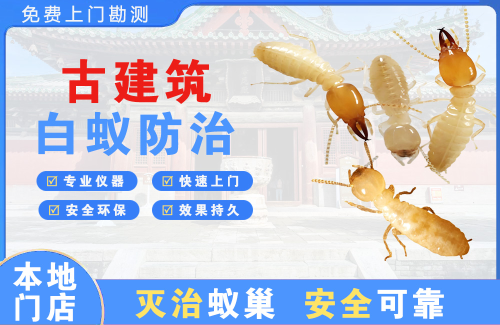 丰城古建筑白蚁防治