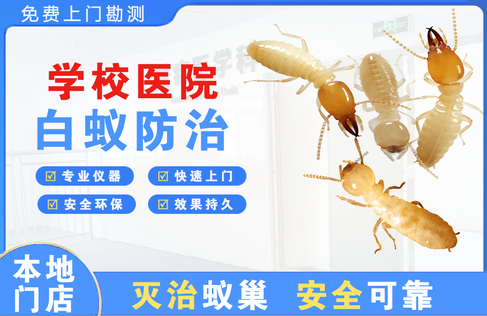 丰城学校医院白蚁防治