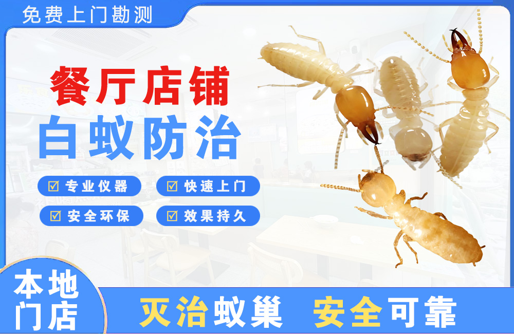 丰城餐厅店铺白蚁防治